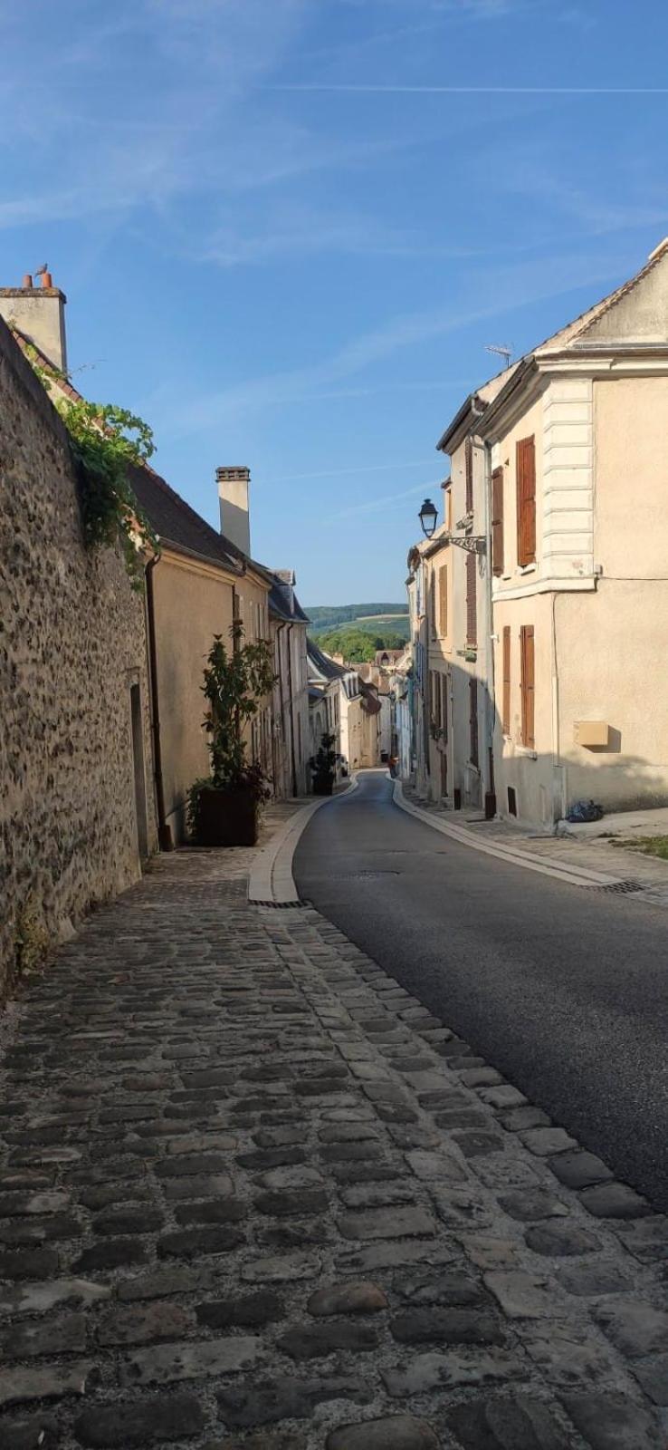 Esope By Kleidos-Ravissant T2 En Plein Centre De Château-Thierry Εξωτερικό φωτογραφία